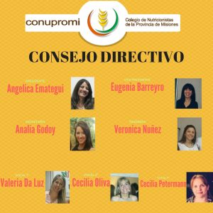 Consejo Directivo CONUPROMI