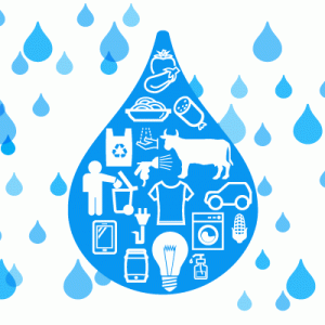 HUELLA HÍDRICA, ALIMENTACIÓN Y SALUD