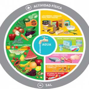 La importancia de garantizar la Seguridad Alimentaria y Nutricional en la población en el contexto de la pandemia de COVID-19 en Argentina