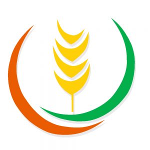 Nota Hospital de Pediatría